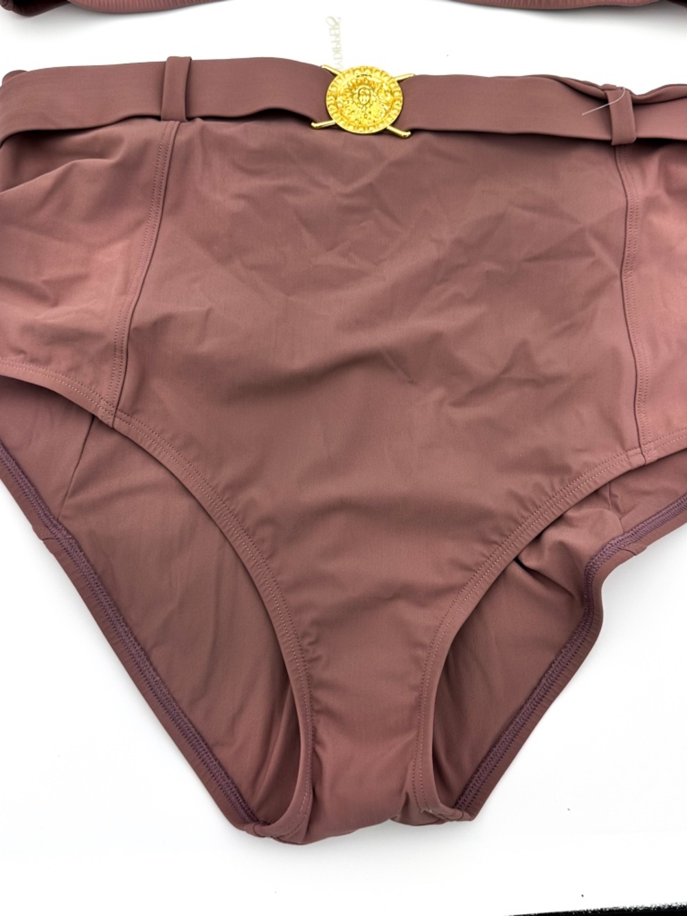 NEW Skinnydippers Skinny Dippers Brown High Waist 2-Pc Bikini Swimsuit Womens XL - Picture 3 of 6